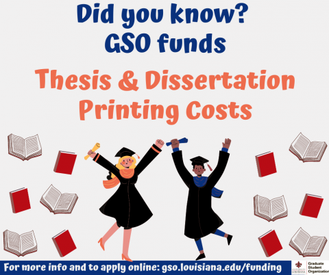thesis review cost